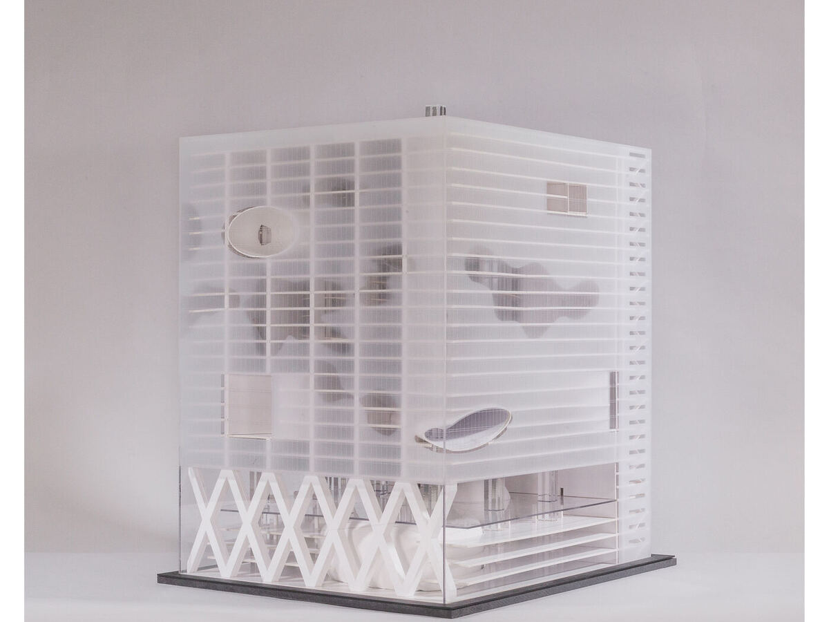 The white model