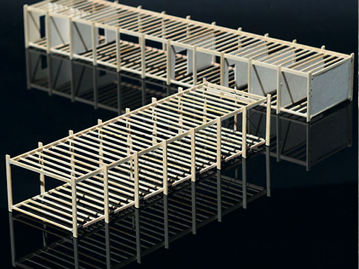 The timber structure of the surf school