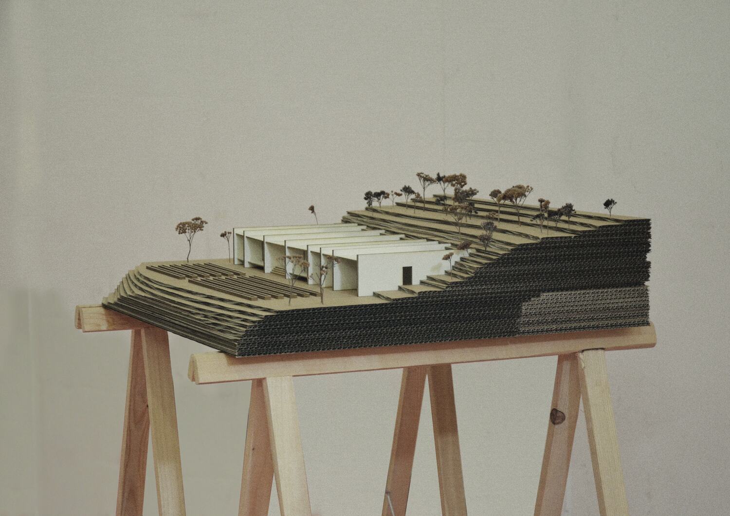 The site as a model